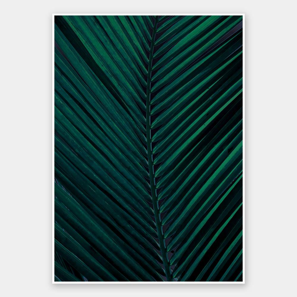 Shade II Unframed Art Print