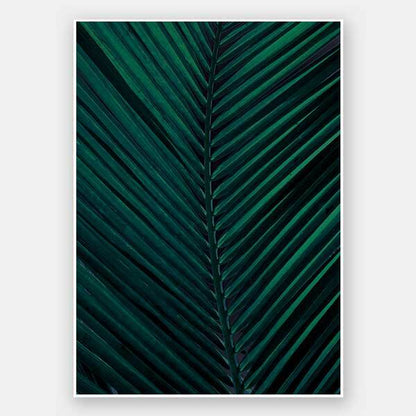 Shade II Unframed Art Print