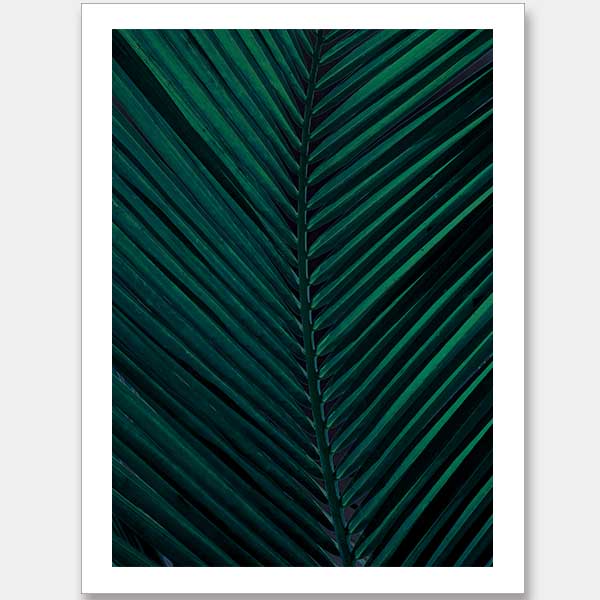 Shade II Unframed Art Print