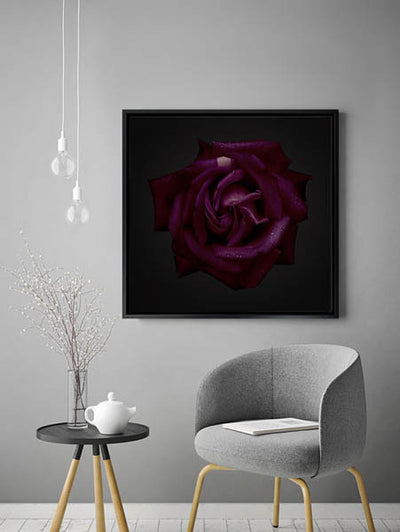 Enchantress Framed Art Print | Lifestyle