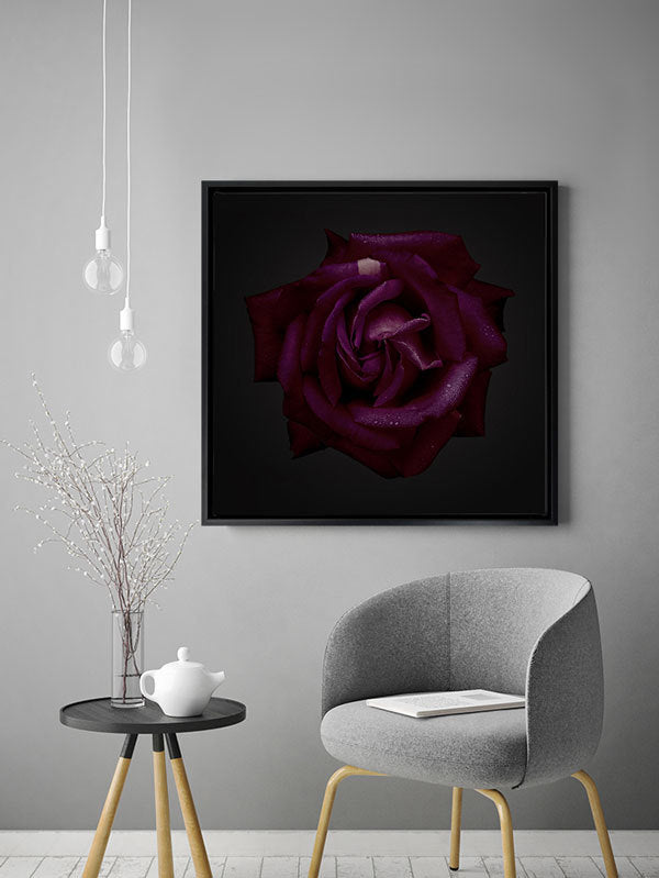 Enchantress Canvas Art Print | Lifestyle