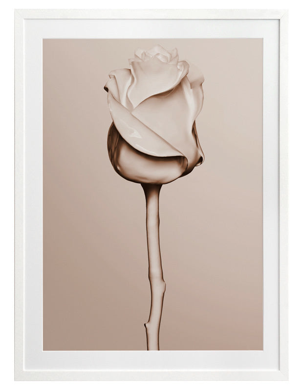 Rosewater Framed Art Print