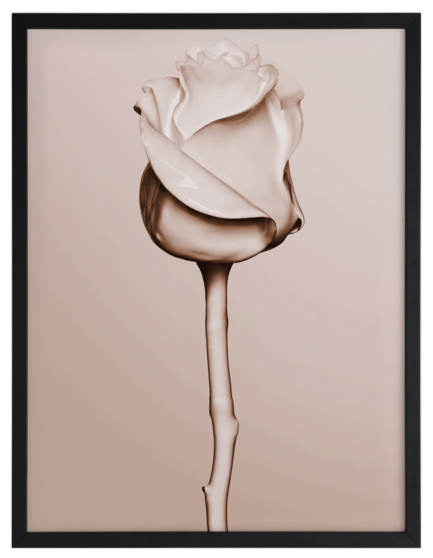 Rosewater Framed Art Print