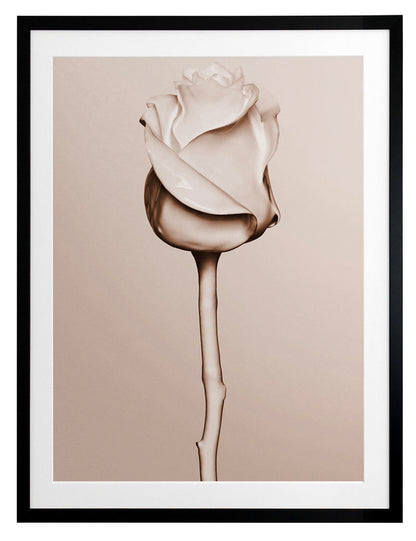 Rosewater Framed Art Print