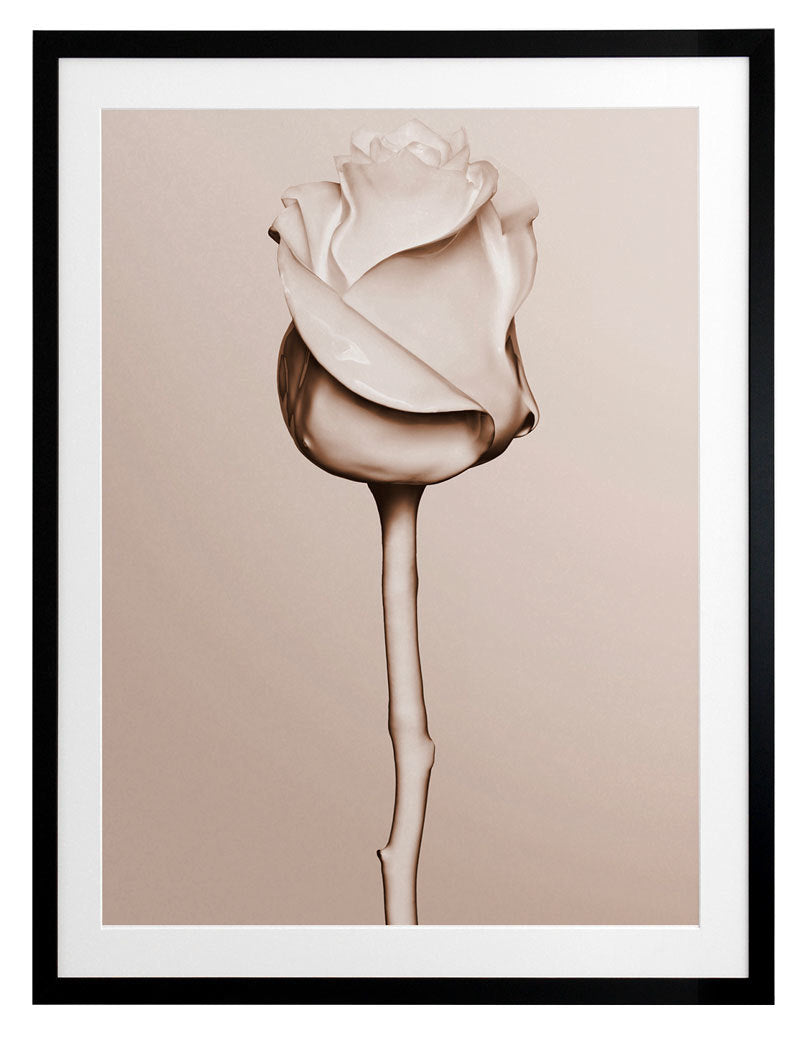 Rosewater Framed Art Print