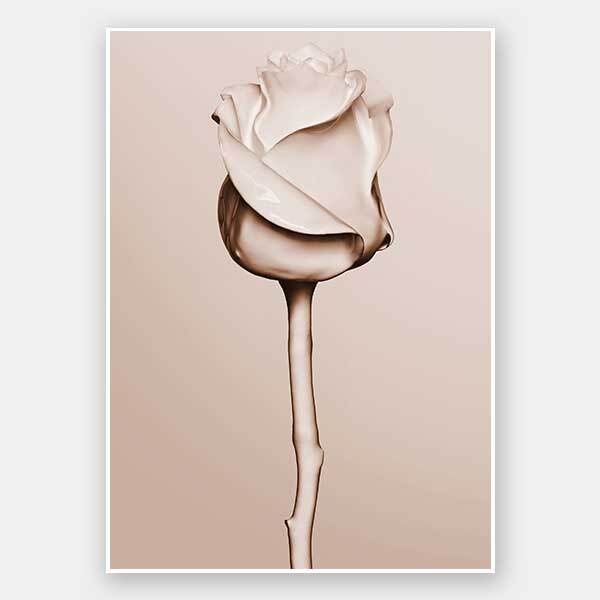 Rosewater Unframed Art Print