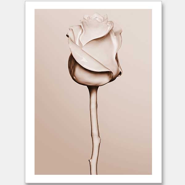 Rosewater Unframed Art Print