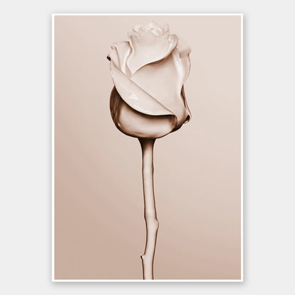 Rosewater Unframed Art Print