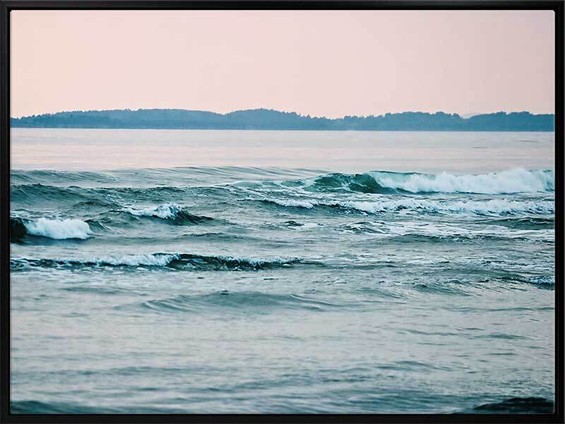 Cape Tribulation Canvas Art Print