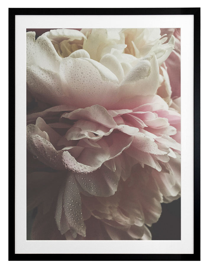 Chivalrous Framed Art Print