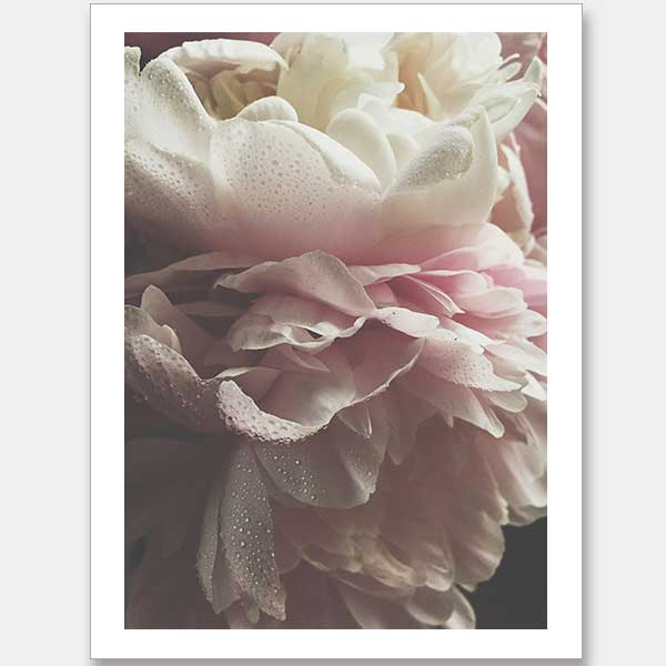 Chivalrous Unframed Art Print