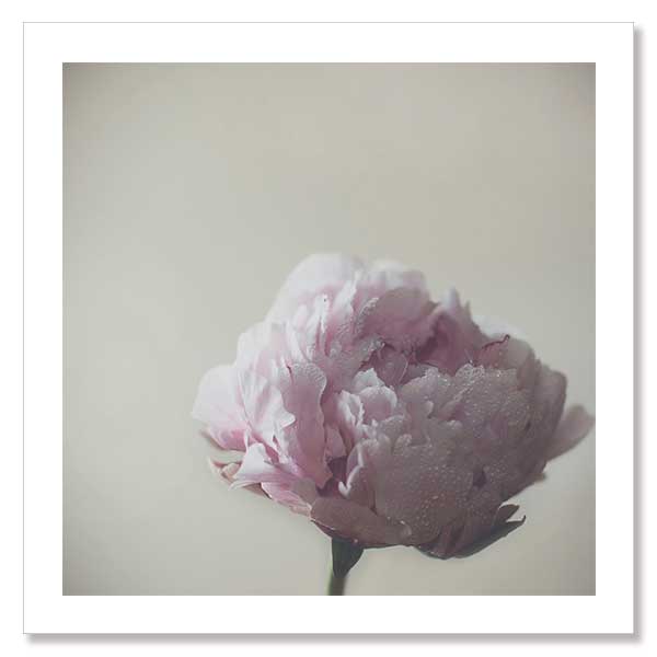 Standing Strong Unframed Art Print