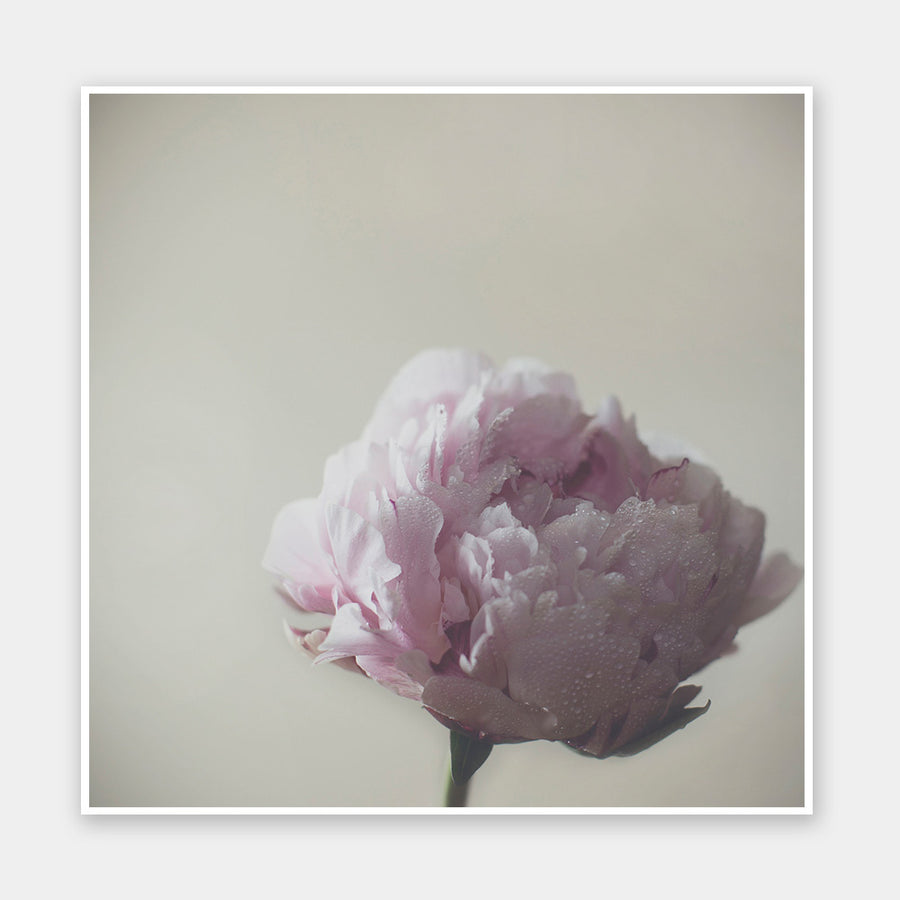 Standing Strong Unframed Art Print