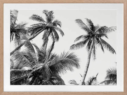 Isla Framed Art Print