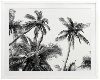 Isla Framed Art Print