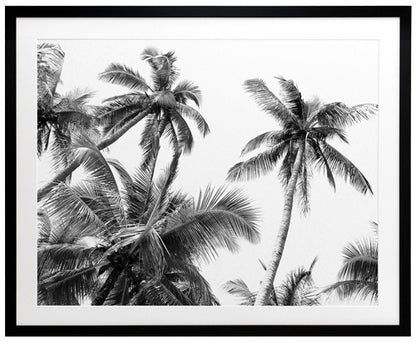 Isla Framed Art Print