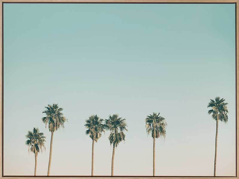Laguna Canvas Art Print