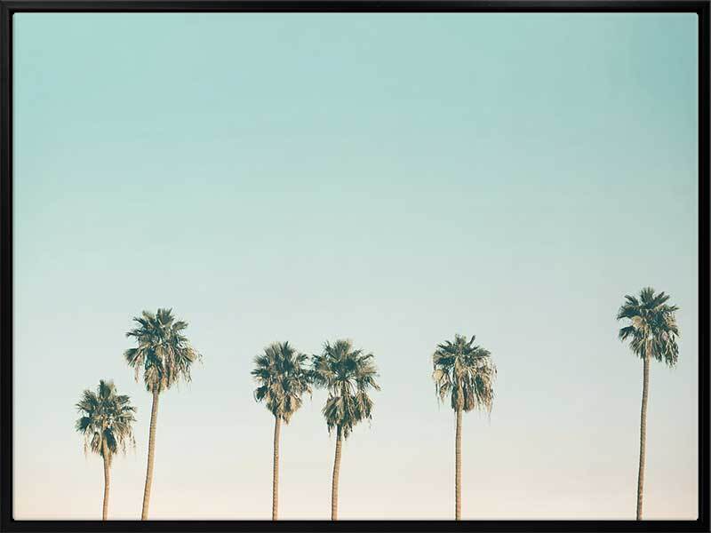 Laguna Canvas Art Print