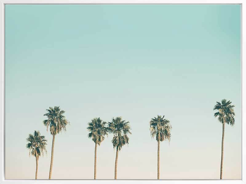 Laguna Canvas Art Print