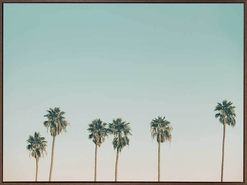 Laguna Canvas Art Print