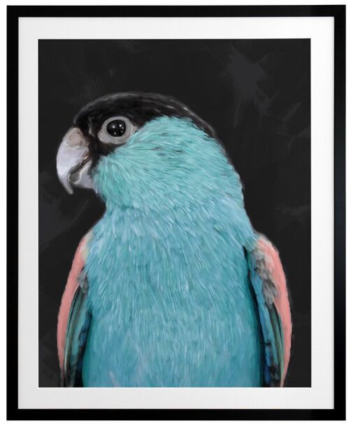 Koah Left Framed Art Print