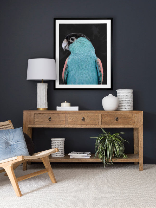 Koah Left Framed Art Print | Lifestyle