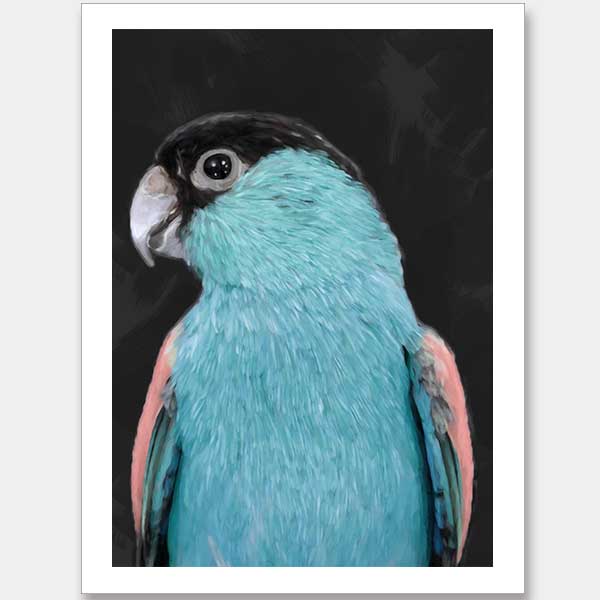 Koah Left Unframed Art Print