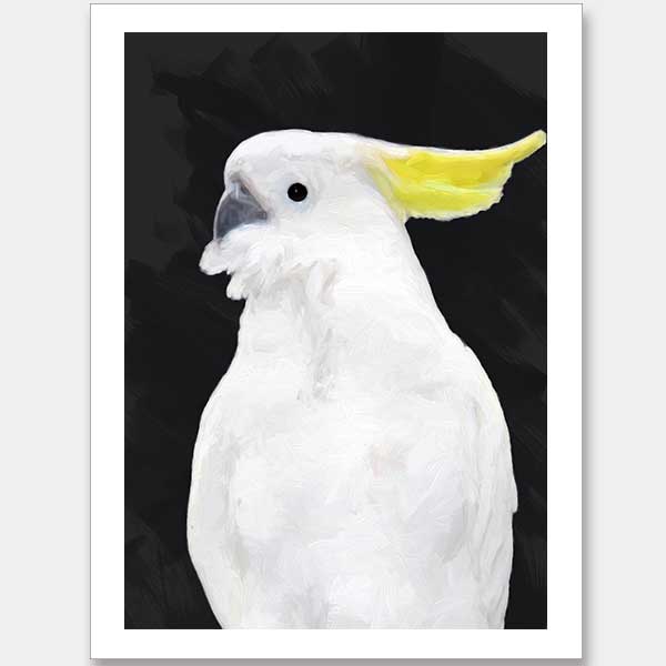 Audacious Unframed Art Print