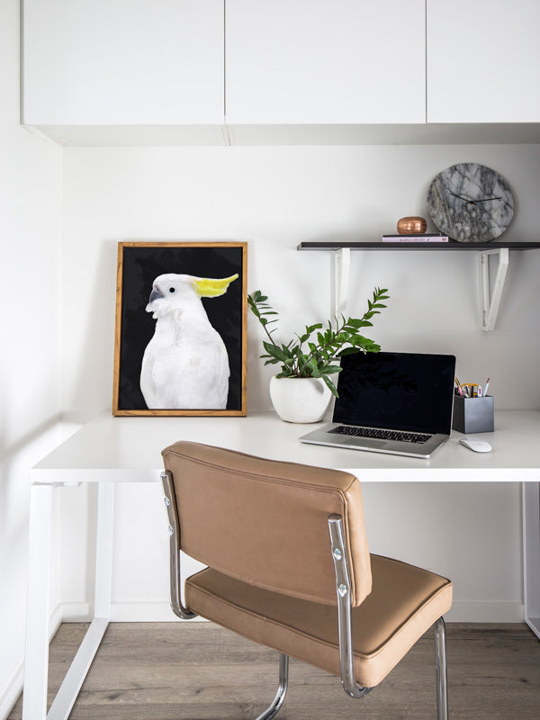 Audacious Canvas Art Print | Lifestyle