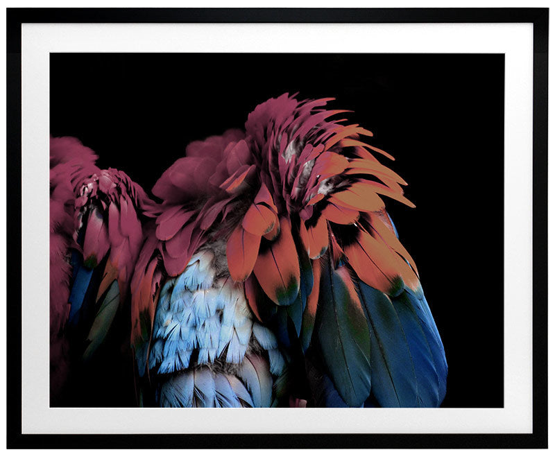 Flutter Framed Art Print