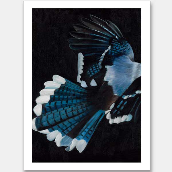 Perch Unframed Art Print