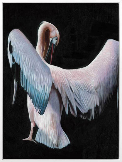 Pelican Canvas Art Print