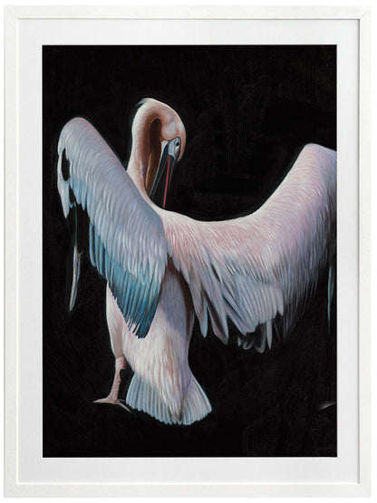 Pelican Framed Art Print