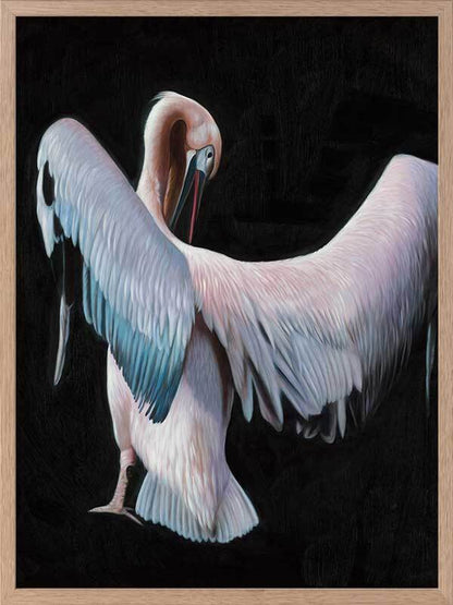 Pelican Framed Art Print