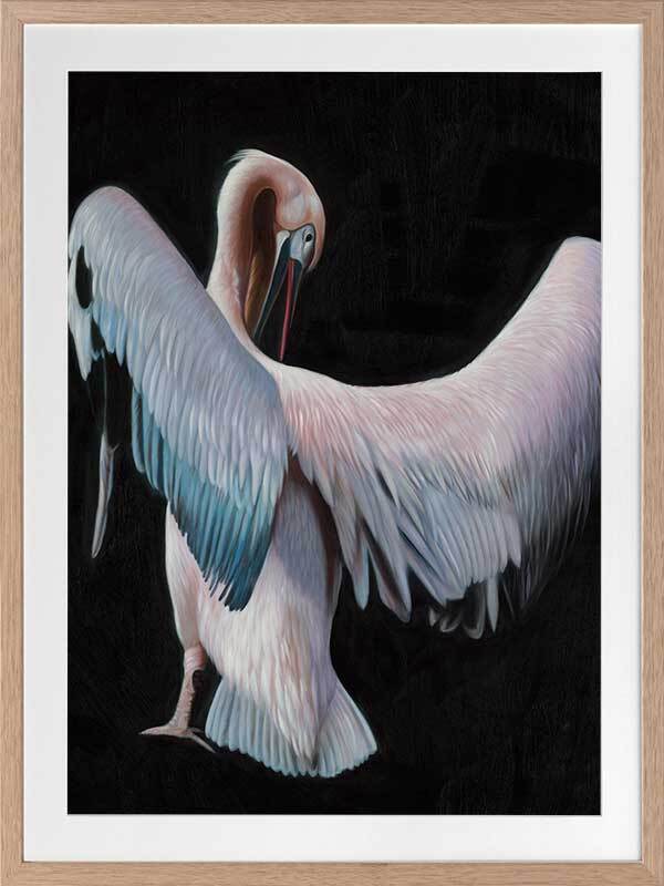 Pelican Framed Art Print