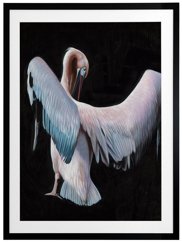 Pelican Framed Art Print