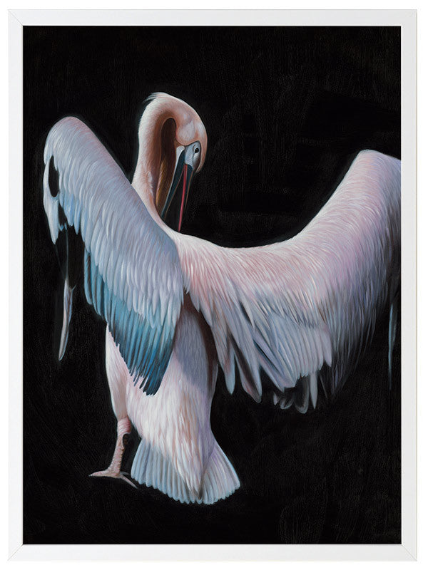 Pelican Framed Art Print