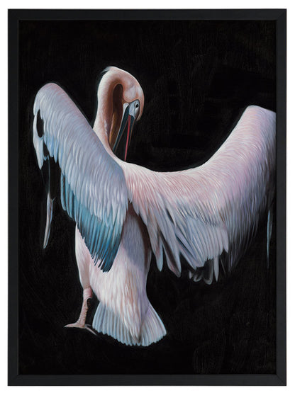 Pelican Framed Art Print