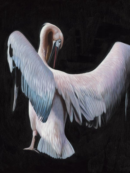 Pelican Canvas Art Print