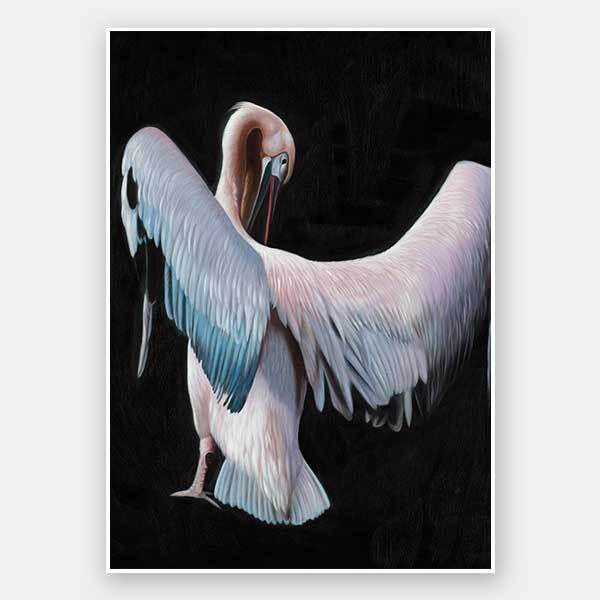 Pelican Unframed Art Print