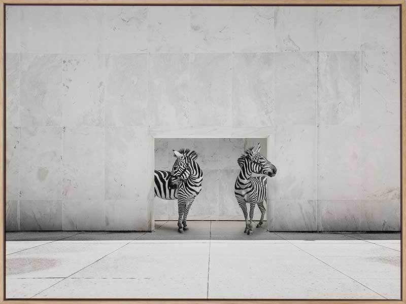 Stripes Canvas Art Print