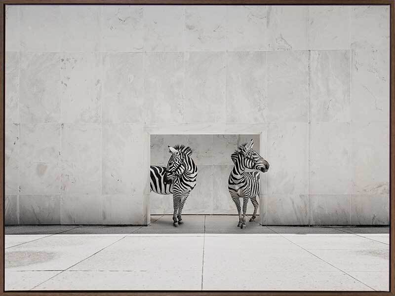 Stripes Canvas Art Print