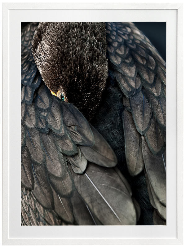 Duck Down Framed Art Print