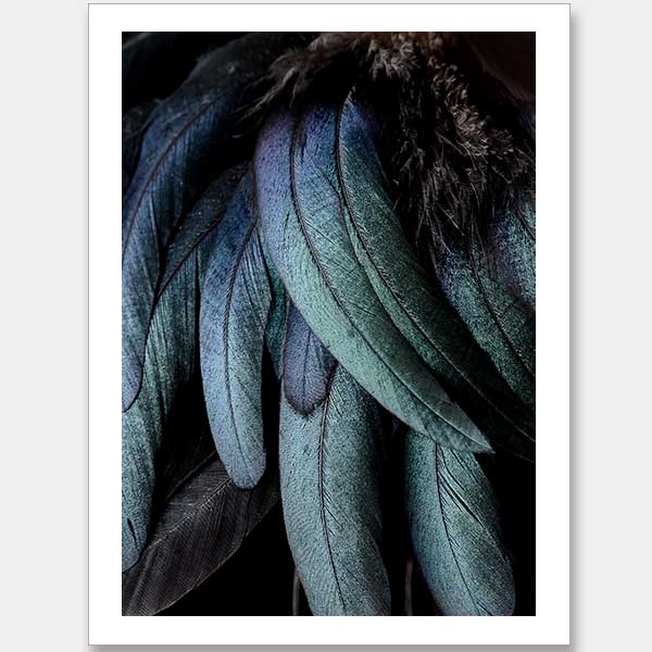 Fowl Play Unframed Art Print