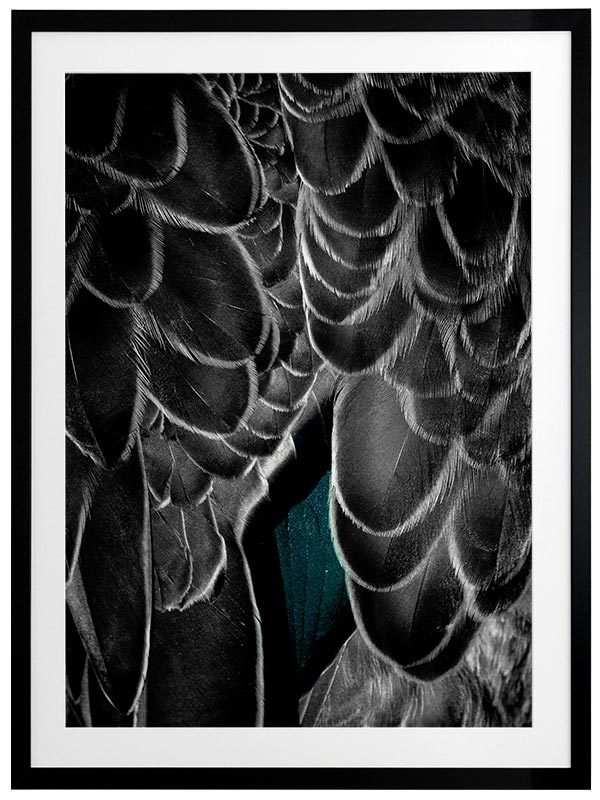 In the Wings Framed Art Print