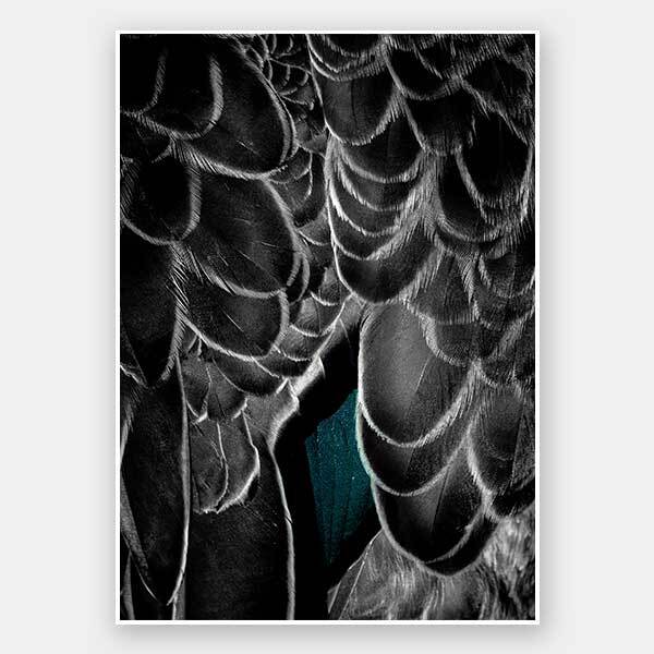 In the Wings Unframed Art Print