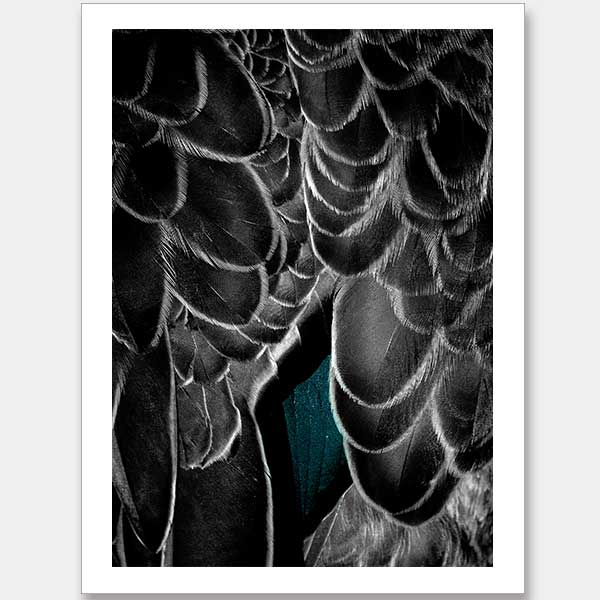 In the Wings Unframed Art Print