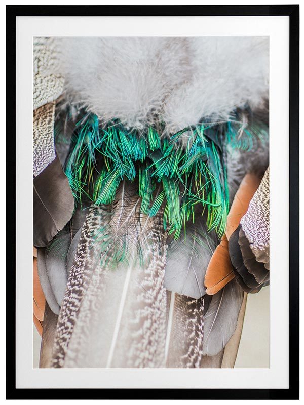 Pompon Framed Art Print