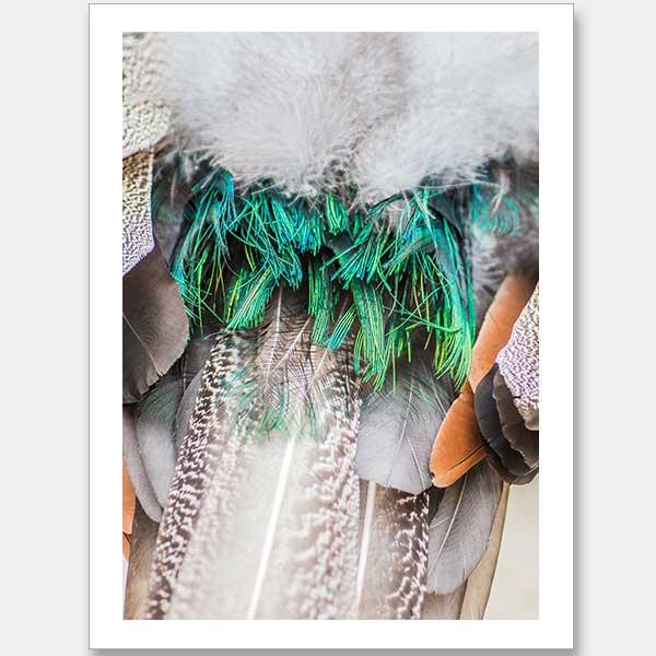 Pompon Unframed Art Print