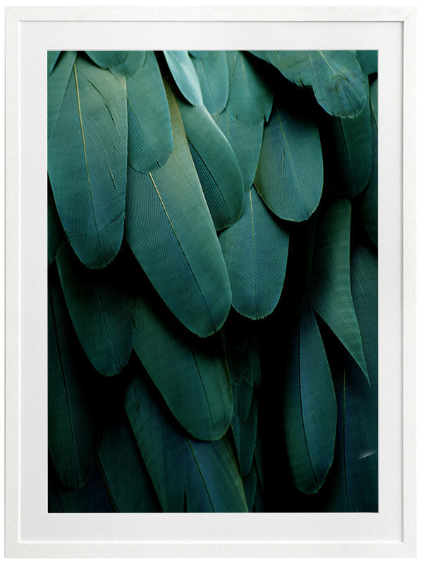 Green Jay Framed Art Print